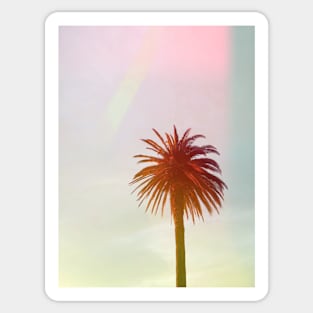 Palm trees, Tropical landscape palms, Sky, Nature print Sticker